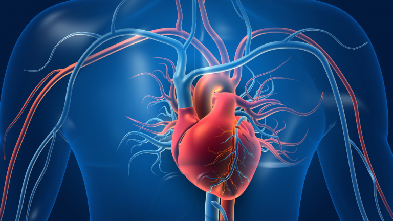 Cardio Risk Predictor